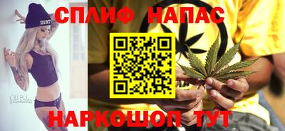 дмт Можга
